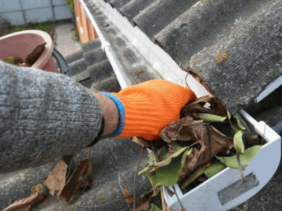 Gutter Cleaning