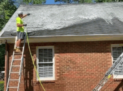Soft Washing Your Roof