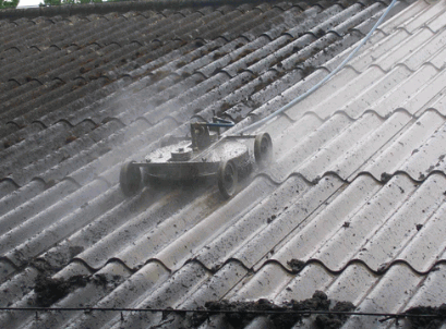 Steam Cleaning roof