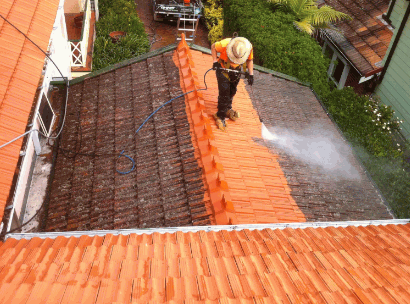 Using The Roof Wash Team For Your Professional Roof Cleaning